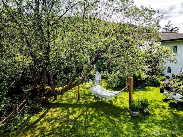 16672 Frontier St, Clallam Bay, WA 98326 - view of green lawn