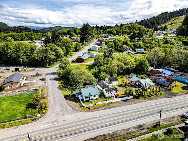 16672 Frontier St, Clallam Bay, WA 98326 - aerial view of residential area with a heavily wooded area