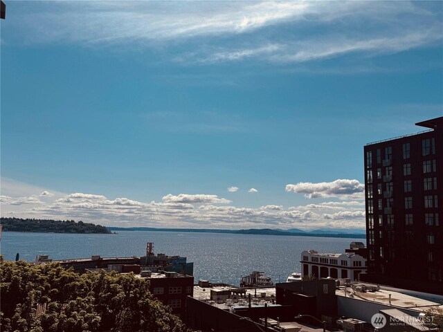 2440 Western Ave Unit 602, Seattle, WA 98121 - water view