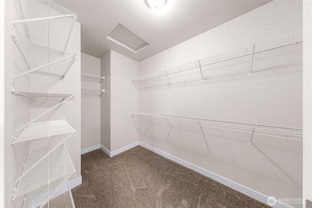 3860 Lindsay Ave, Bellingham, WA 98229 - walk in closet featuring carpet flooring and attic access