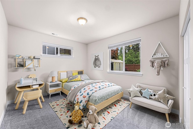 3860 Lindsay Ave, Bellingham, WA 98229 - bedroom with carpet flooring and baseboards