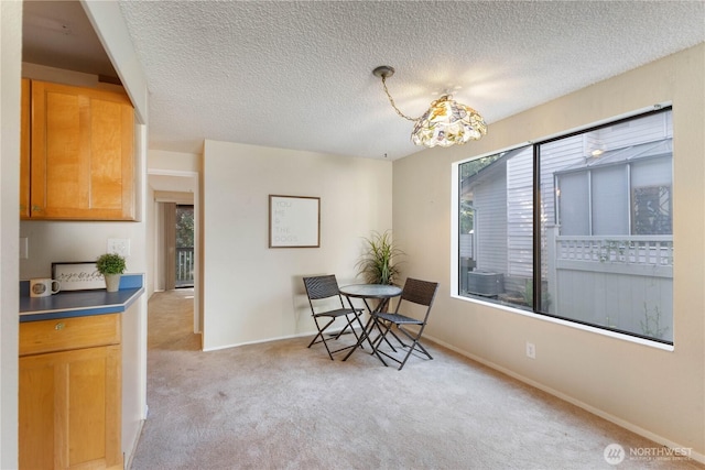 24727 12th Ave S, Des Moines, WA 98198 - dining space featuring light colored carpet, plenty of natural light, baseboards, and a textured ceiling