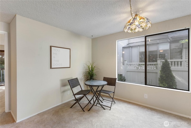 24727 12th Ave S, Des Moines, WA 98198 - sitting room with carpet floors, a textured ceiling, and baseboards