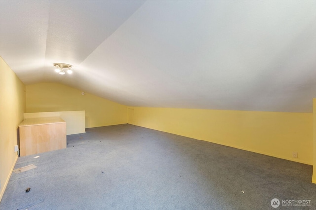 24727 12th Ave S, Des Moines, WA 98198 - additional living space with vaulted ceiling and carpet floors