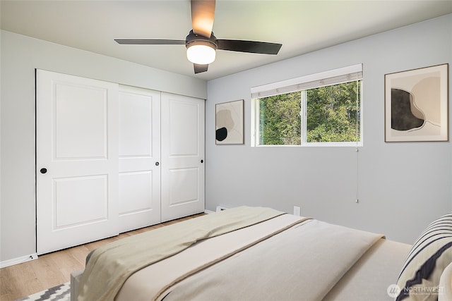12672 179th Ave SE, Monroe, WA 98272 - bedroom featuring light wood-style flooring, a closet, and a ceiling fan