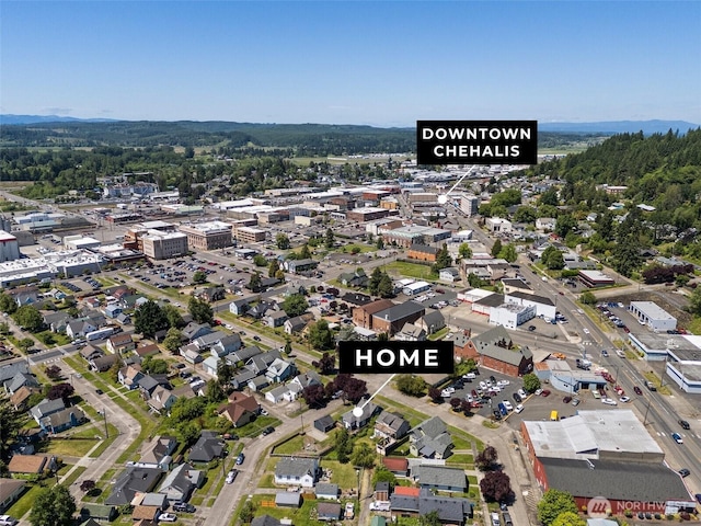 121 SW Alfred Ave, Chehalis, WA 98532 - aerial view of property and surrounding area