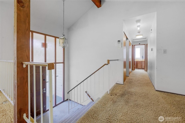 7407 25th Ave NE, Seattle, WA 98115 - hall featuring an upstairs landing and carpet flooring