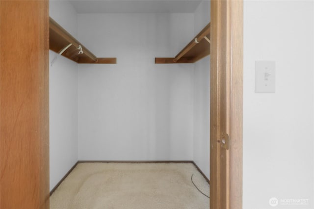 7407 25th Ave NE, Seattle, WA 98115 - walk in closet featuring carpet flooring