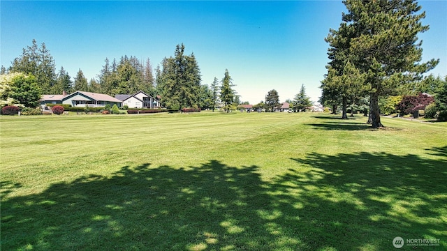 12454 Gwen Dr Unit 13, Burlington, WA 98233 - photo 4