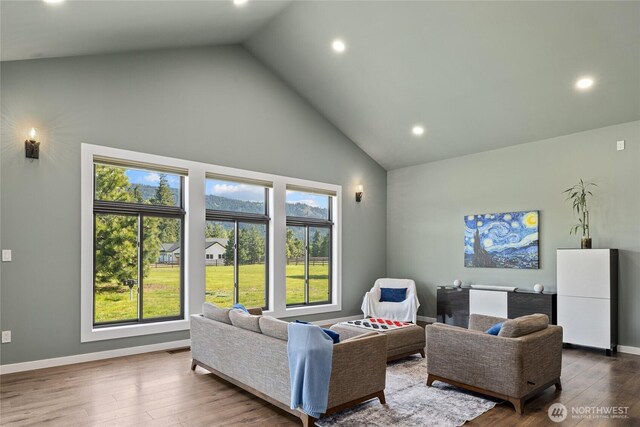 1550 Old Cedars Rd, Cle Elum, WA 98922 - living area featuring high vaulted ceiling, recessed lighting, dark wood-type flooring, and baseboards