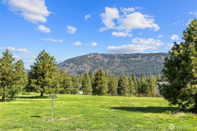 1550 Old Cedars Rd, Cle Elum, WA 98922 - view of mountain background with a heavily wooded area