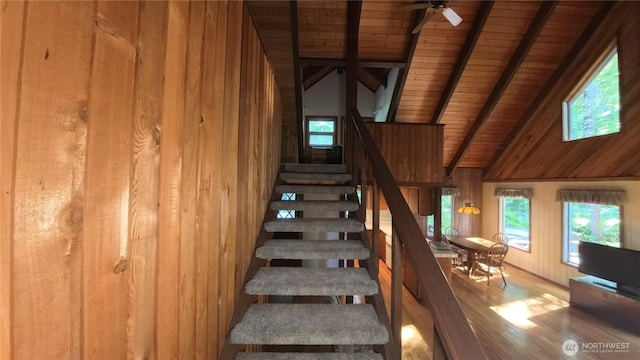 321 N Lake Surf Dr, Lilliwaup, WA 98555 - stairs featuring wooden ceiling, wood walls, healthy amount of natural light, and wood finished floors