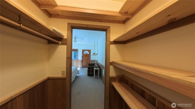 321 N Lake Surf Dr, Lilliwaup, WA 98555 - walk in closet featuring carpet floors