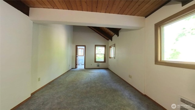 321 N Lake Surf Dr, Lilliwaup, WA 98555 - carpeted spare room with wood ceiling
