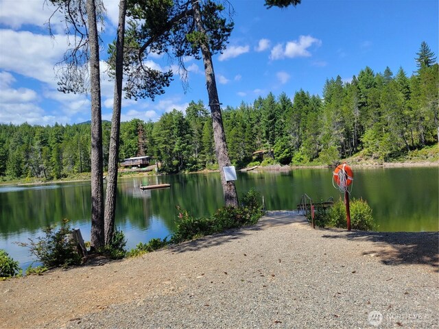 321 N Lake Surf Dr, Lilliwaup, WA 98555 - water view with a forest