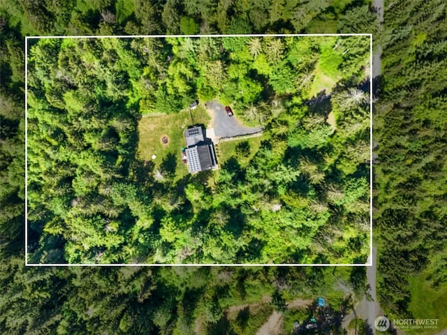114 Black Bear Ln, Centralia, WA 98531 - aerial view of property's location featuring property parcel outlined