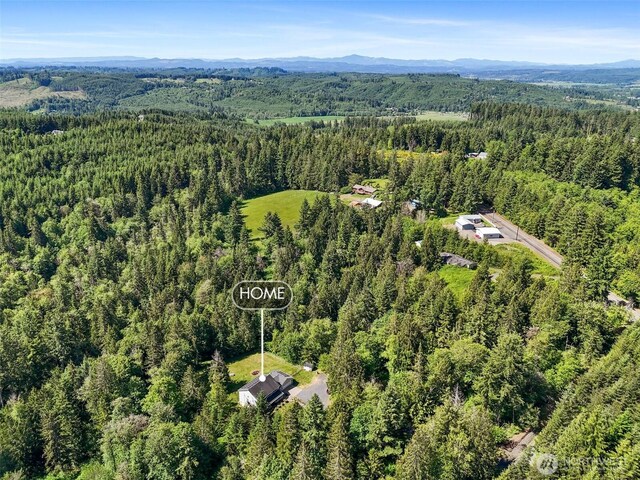 114 Black Bear Ln, Centralia, WA 98531 - aerial view of a heavily wooded area and a mountain backdrop