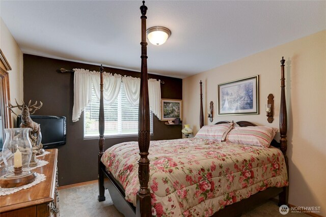 55 Monte Brady Rd, Montesano, WA 98563 - photo 20