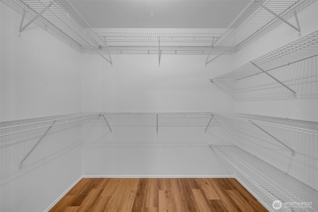 17620 NE 29th St, Redmond, WA 98052 - spacious closet with wood finished floors