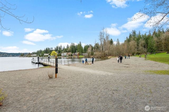 17620 NE 29th St, Redmond, WA 98052 - view of property's community with a water view and a boat dock