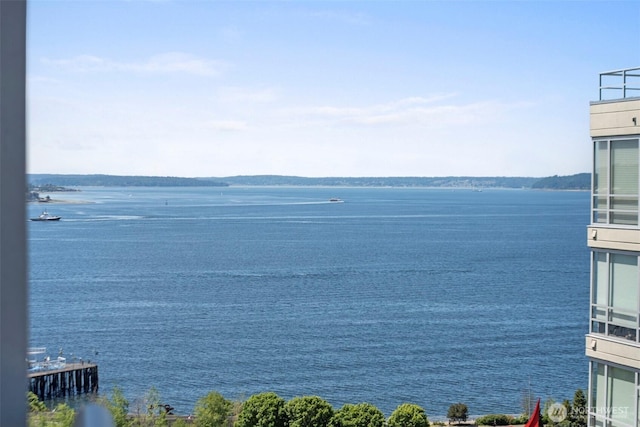 2929 1st Ave Unit 1217, Seattle, WA 98121 - photo 2