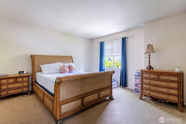 570 Beaver Blvd Unit A, Pacific, WA 98047 - bedroom with light colored carpet