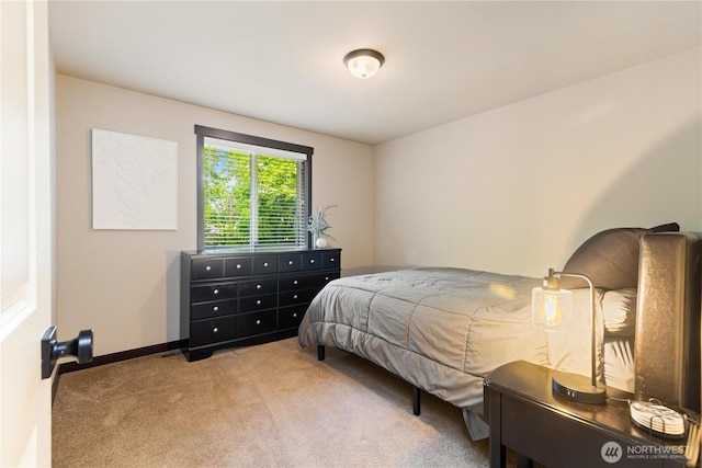 4526 Shantel St, Mount Vernon, WA 98274 - photo 22