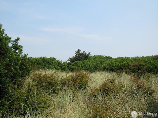 1256 Fleetwood Ave SW, Ocean Shores, WA 98569