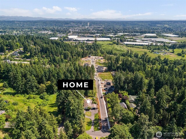 9814 36th St E, Edgewood, WA 98371 - view of property location with a forest and mountains