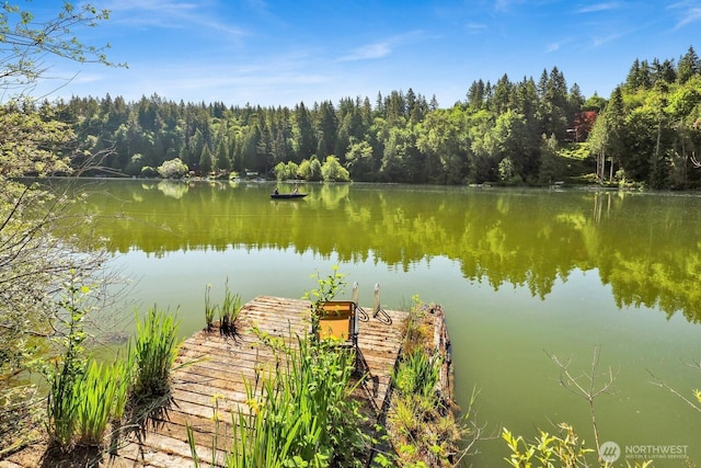 1713 Pebble Beach Trl, Bellingham, WA 98226 - dock area with a forest view and a water view