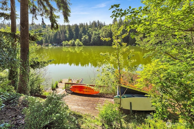 1713 Pebble Beach Trl, Bellingham, WA 98226 - water view featuring a heavily wooded area