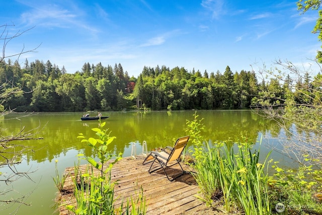 1713 Pebble Beach Trl, Bellingham, WA 98226 - dock featuring a water view and a view of trees