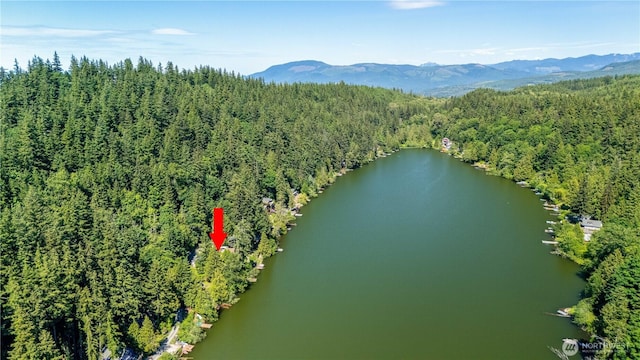 1713 Pebble Beach Trl, Bellingham, WA 98226 - aerial view of a forest and a water and mountain view