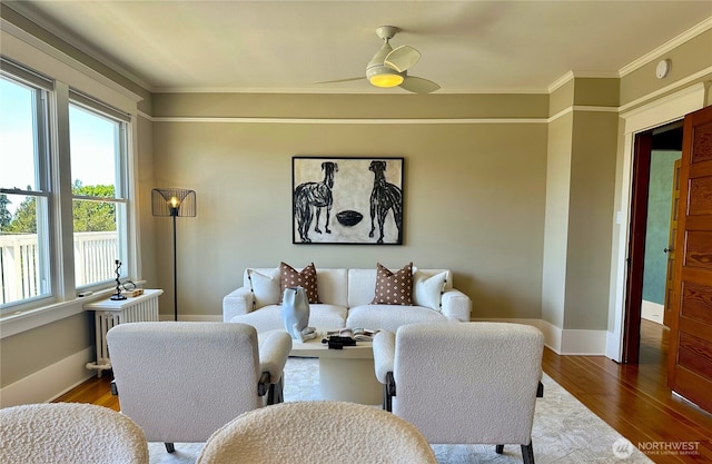 920 4th Ave N, Seattle, WA 98109 - living room featuring wood finished floors, a ceiling fan, crown molding, baseboards, and radiator