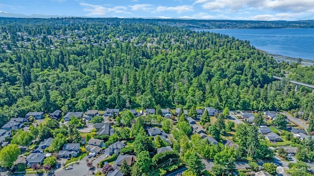 25161 13th Ave S, Des Moines, WA 98198 - view of property location featuring a heavily wooded area, a large body of water, and nearby suburban area