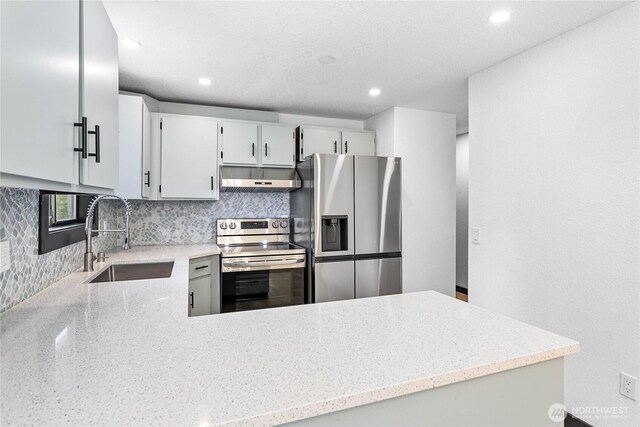 1668 Sapphire Trl, Bellingham, WA 98226 - kitchen with appliances with stainless steel finishes, a sink, under cabinet range hood, backsplash, and recessed lighting