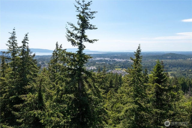 1668 Sapphire Trl, Bellingham, WA 98226 - view of mountain backdrop featuring a heavily wooded area