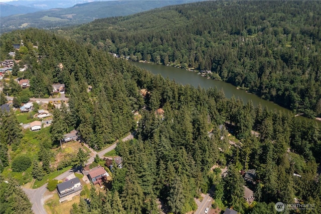 1668 Sapphire Trl, Bellingham, WA 98226 - aerial view of property's location with a forest and a water and mountain view