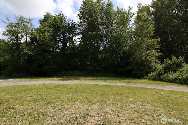 0 Canyon Dr N, Kent, WA 98030 - photo 7