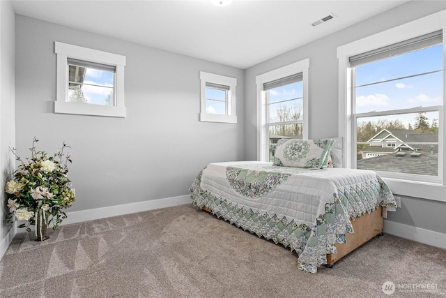 6041 Brian Ct, Ferndale, WA 98248 - carpeted bedroom featuring baseboards