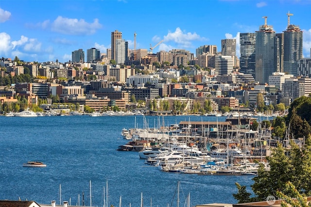 922 N 36th St, Seattle, WA 98103 - view of city skyline featuring a large body of water