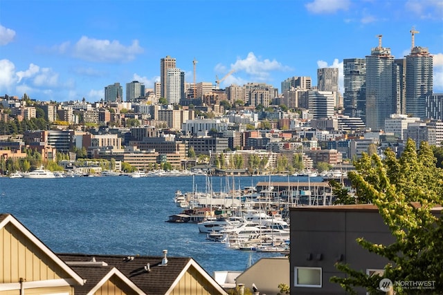 922 N 36th St, Seattle, WA 98103 - skyline view with a large body of water