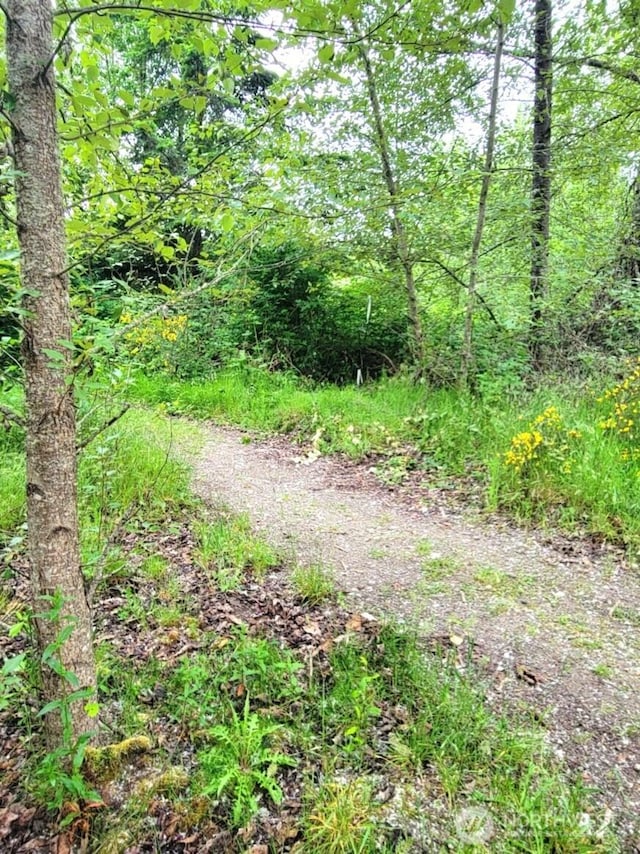0 NW Thompson Rd, Poulsbo, WA 98370