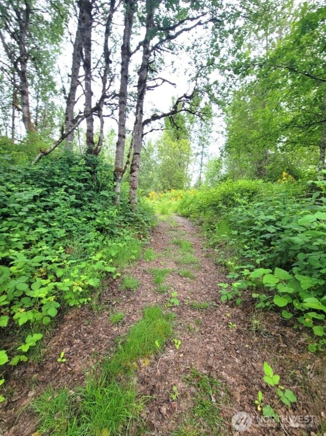 0 NW Thompson Rd, Poulsbo, WA 98370