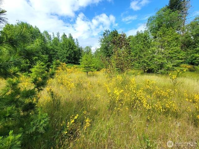 0 NW Thompson Rd, Poulsbo, WA 98370