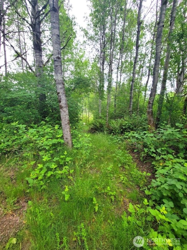 0 NW Thompson Rd, Poulsbo, WA 98370