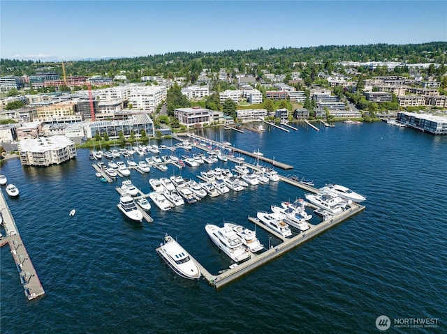 225 2nd St S Unit A-1, Kirkland, WA 98033 - photo 23
