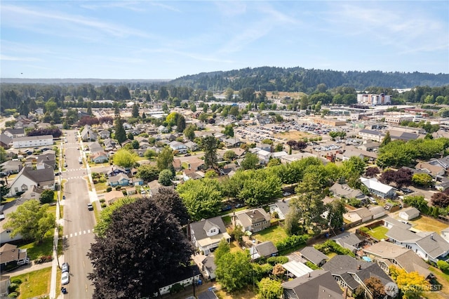 707 Ryan Ave, Sumner, WA 98390 - aerial view of residential area