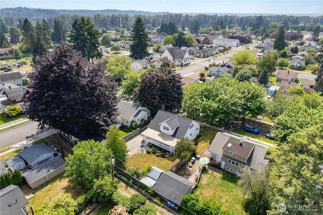 707 Ryan Ave, Sumner, WA 98390 - aerial view of residential area