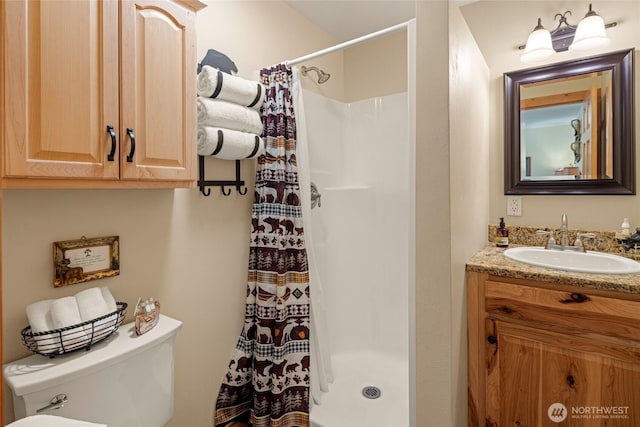 8775 Icicle Rd, Leavenworth, WA 98826 - bathroom featuring toilet, vanity, and a stall shower
